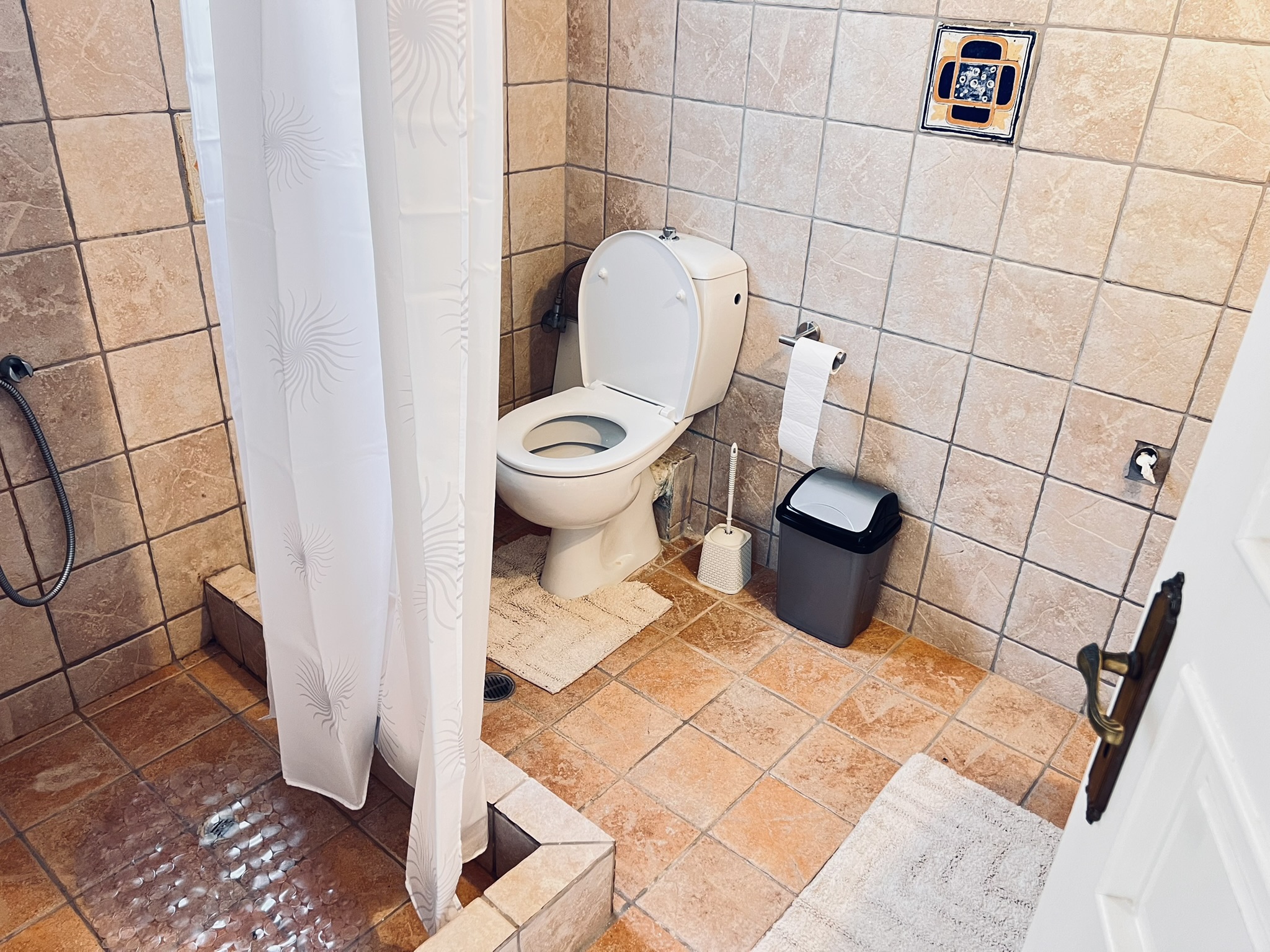The first-floor bathroom — walk-in shower behind a white curtain, WC, and basin