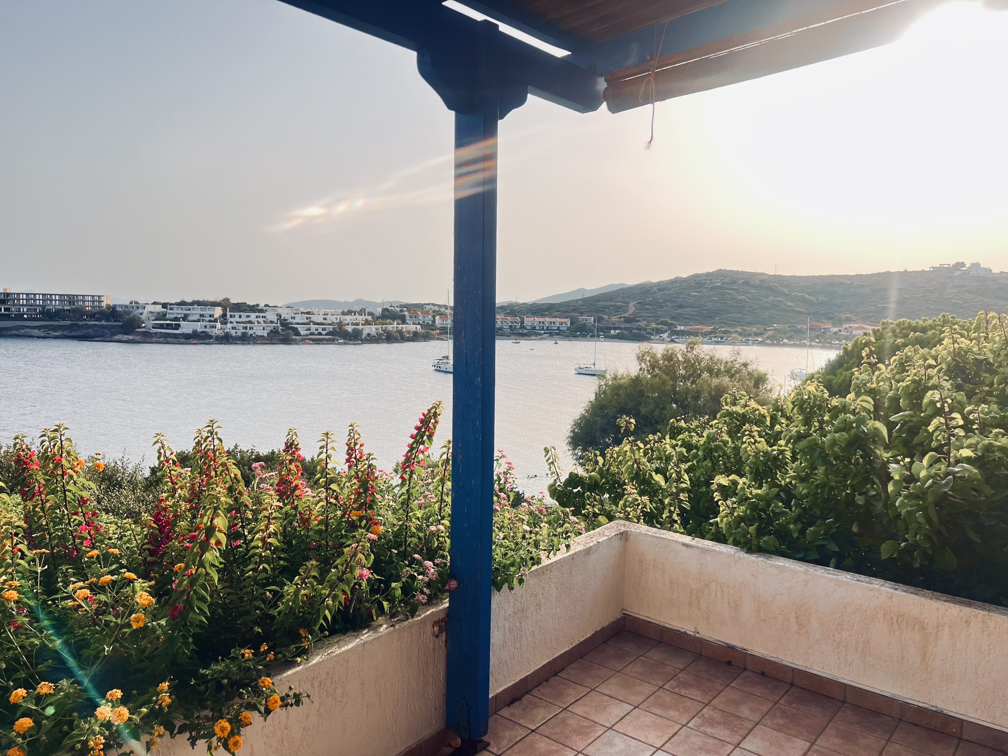 Terrace at golden hour — salvia, lantana, and sunset light